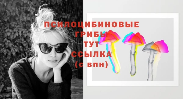 сатива Алексеевка