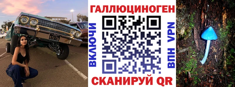 Псилоцибиновые грибы мицелий Зуевка